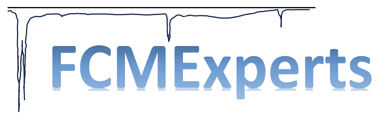 fcpexperts_logo_transparent